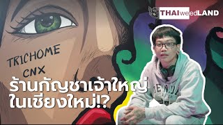 TWL Insight Interview EP11 | Trichome CNX