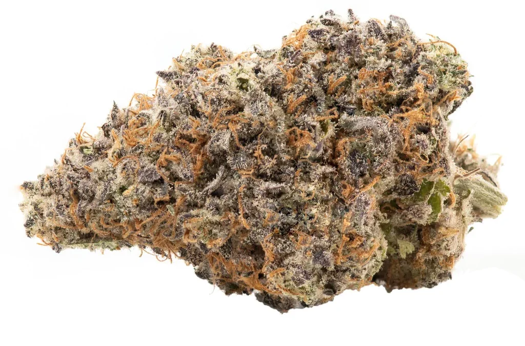 Bacio Gelato