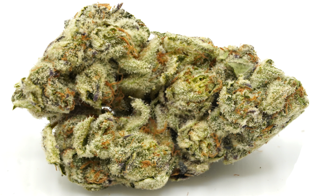 Captian Kush