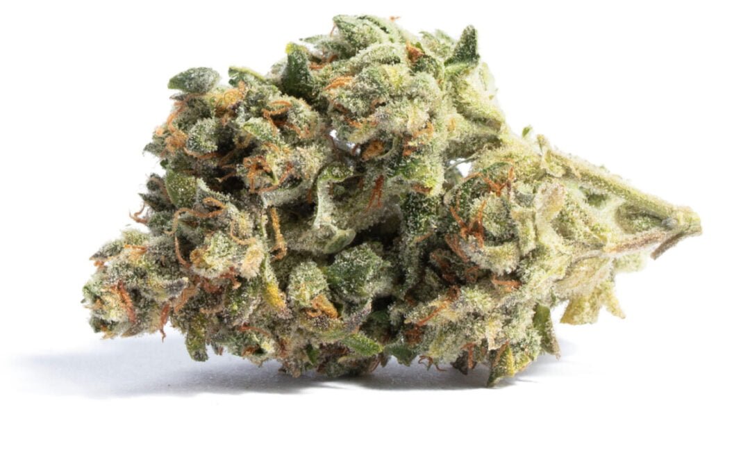 Acapulco Gold