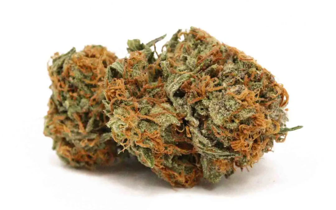 Grease Mokey