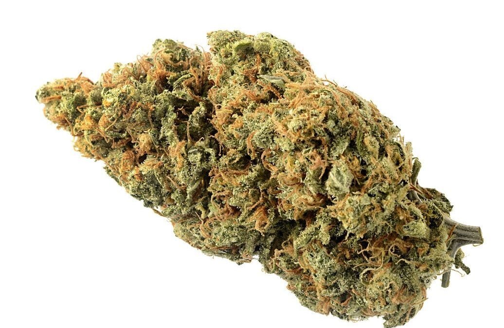 Blue Amnesia