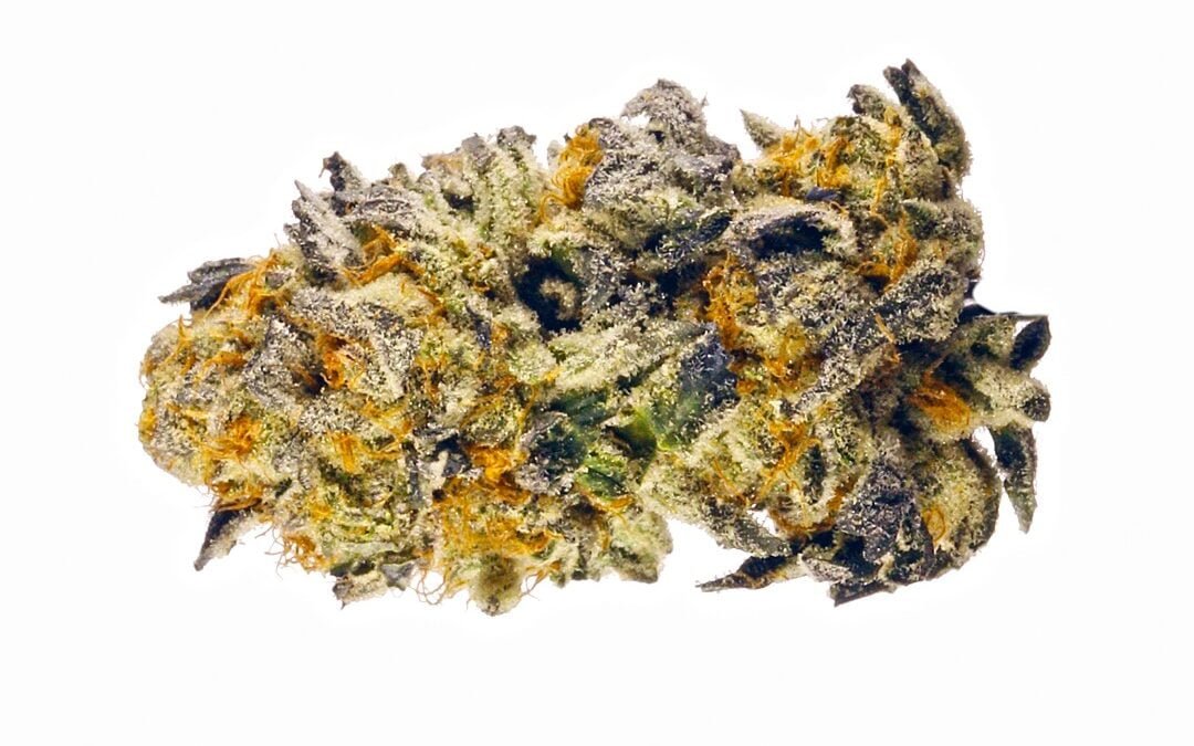 Banana Punch