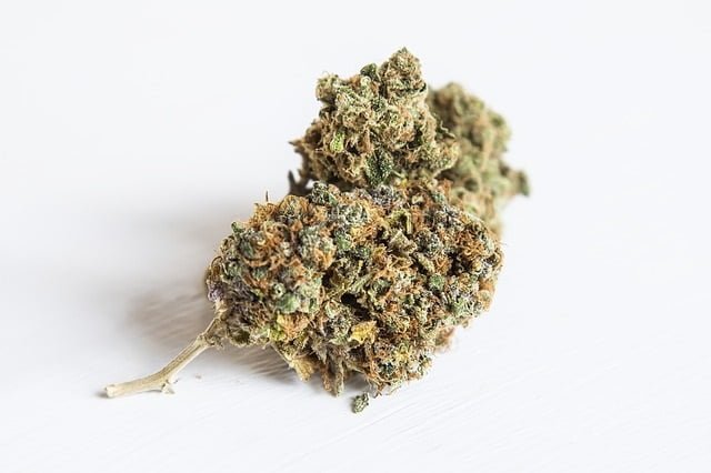 10th-Planet Cannabis Thailand