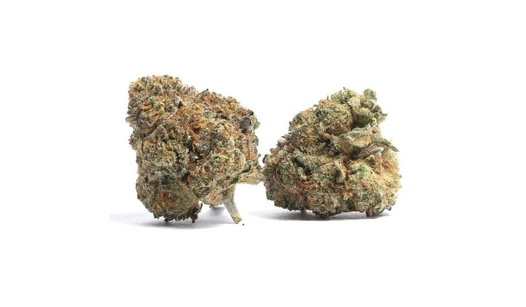 Best Friend OG