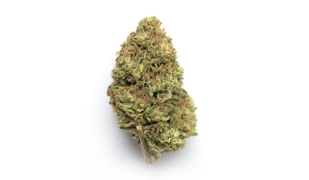 LA Kush