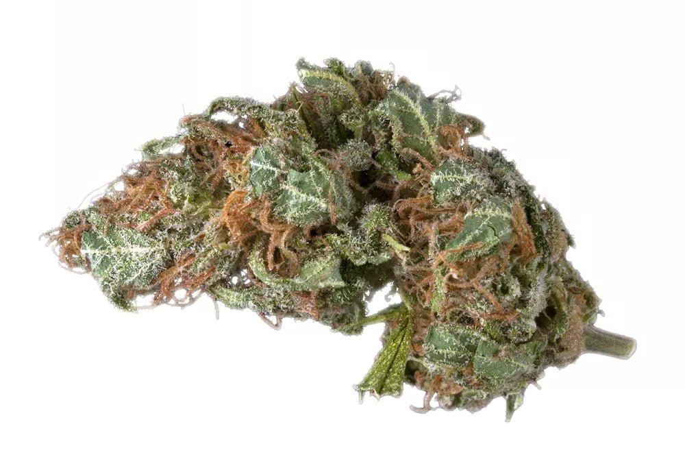 Bubble Cheese