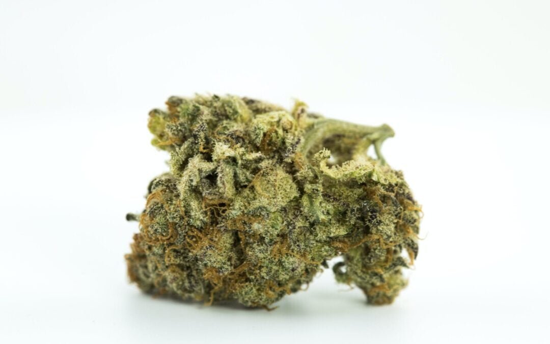 Blackberry