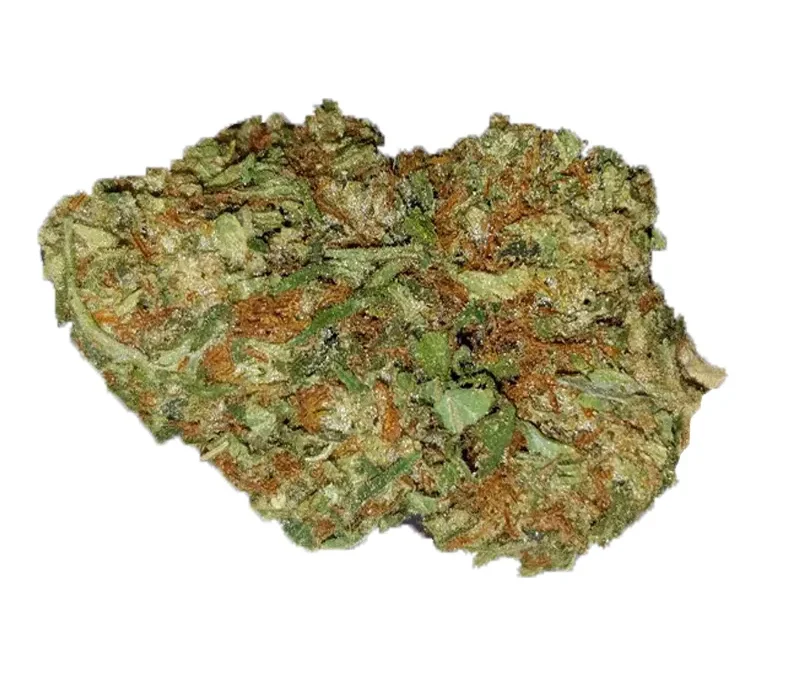 Bubble Gum