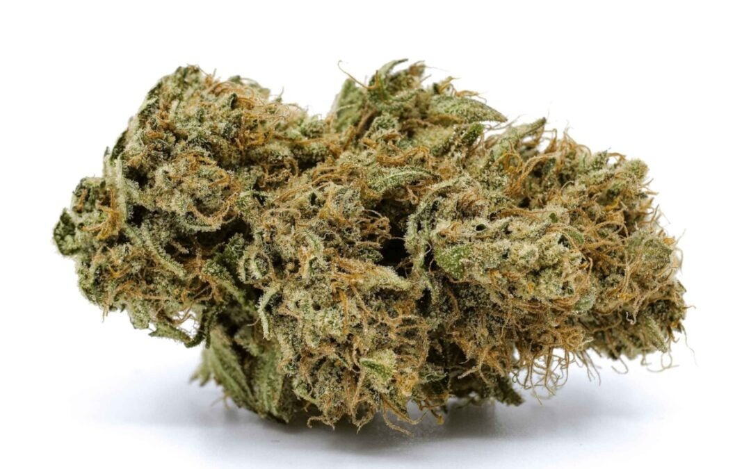 Jelly Breath