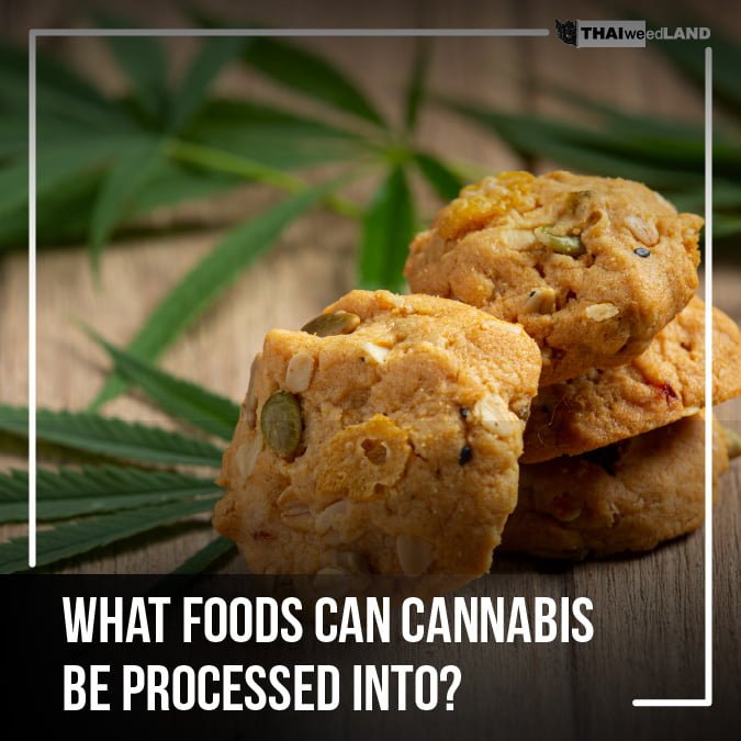What foods can cannabis be processed into?