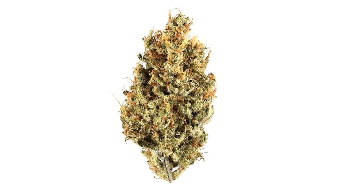 Lemon Diesel