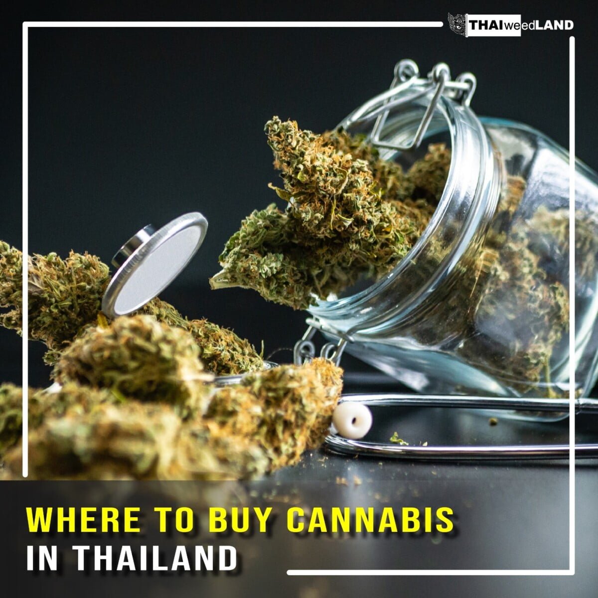 Select Where to buy Cannabis in Thailand Where to buy Cannabis in Thailand