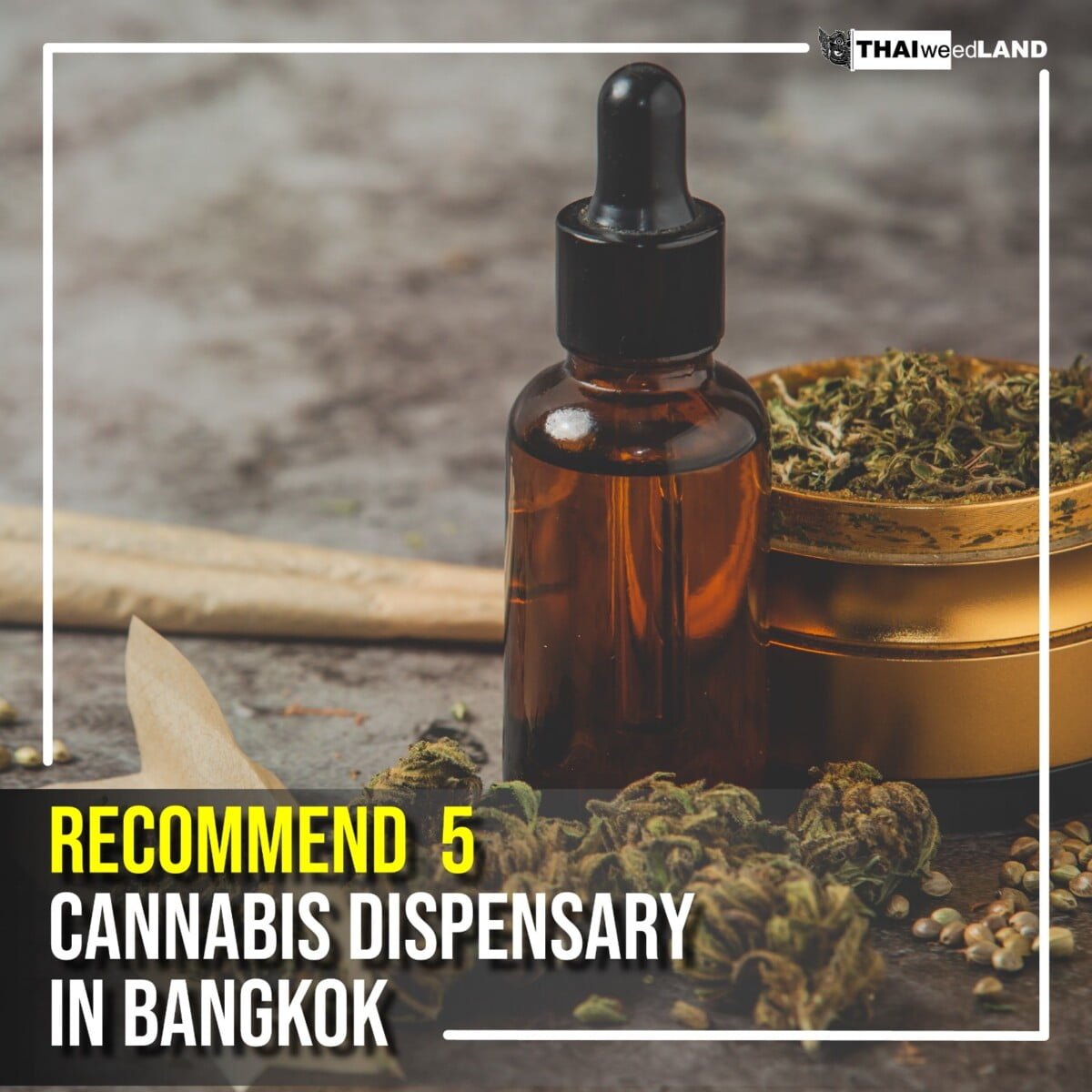 Recommend 5 cannabis dispensary in Bangkok