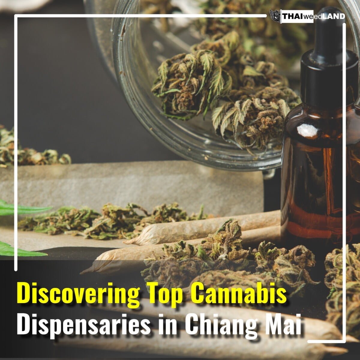 Select Discovering Top Cannabis Dispensaries in Chiang Mai Discovering Top Cannabis Dispensaries in Chiang Mai