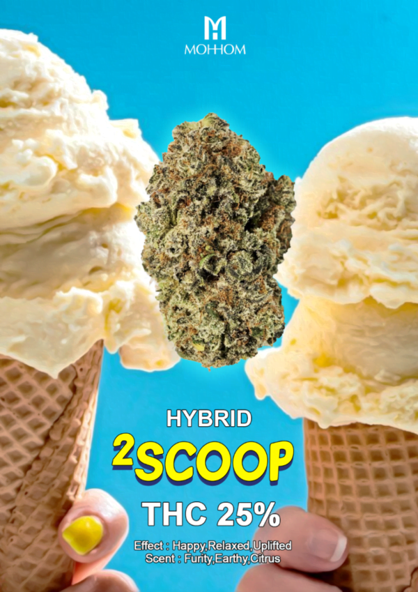 2 Scoops