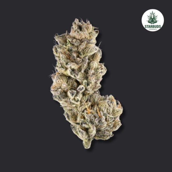 Grape Diamond