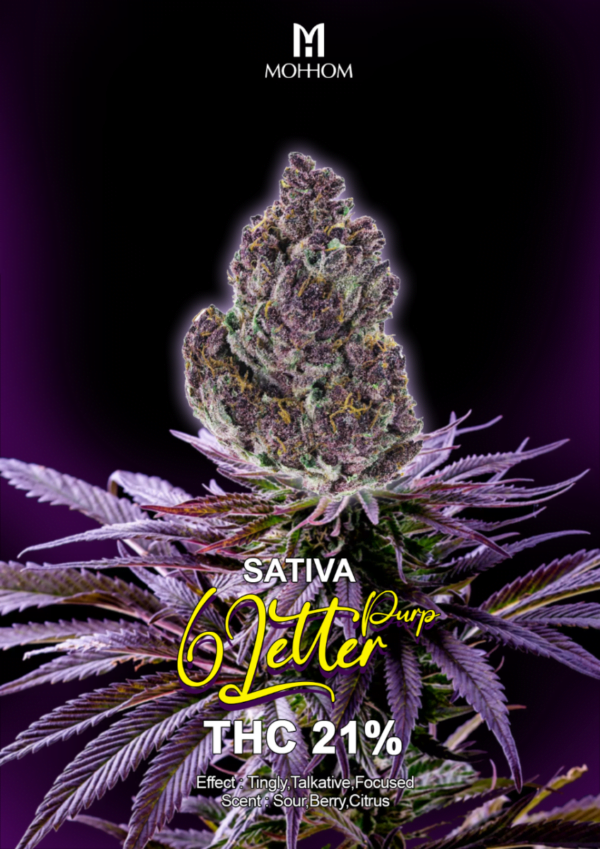 6 Letter Purp