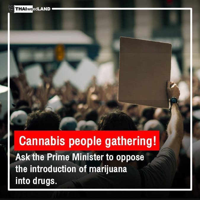 Cannabis People gathering! Ask the Prime Minister to oppose the introduction of cannabis into drugs