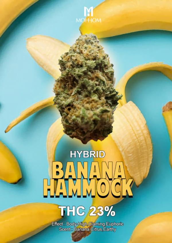 Banana Hammock