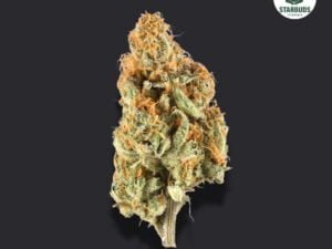 Juicy J