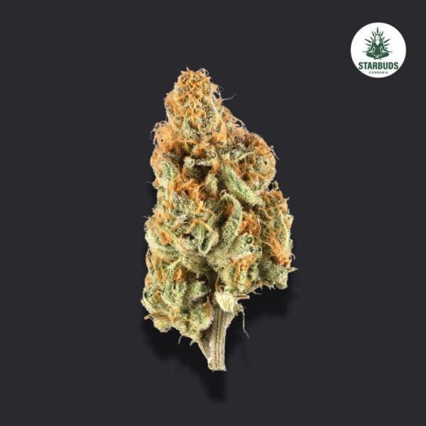 Juicy J