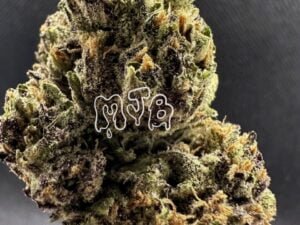 6 Letter Purp