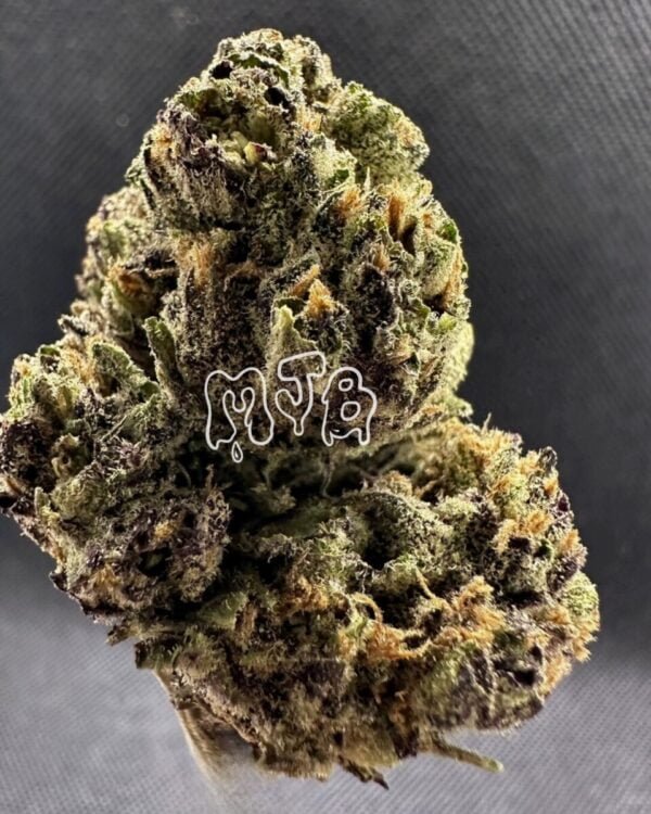 6 Letter Purp