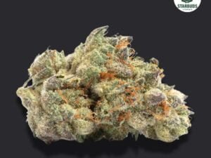 Purple Haze