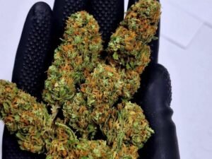 Gorilla Glue#4