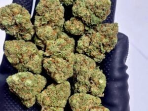 OG Kush