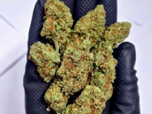 Purple Magic