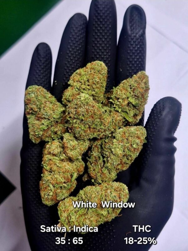 White Window