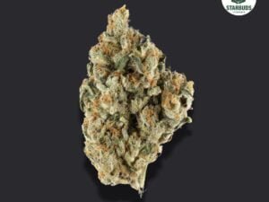 Sherbert Bazooka