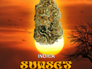 Sunset Sherbet