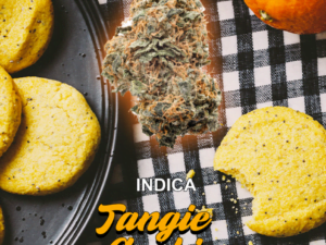 Tangie Cookies