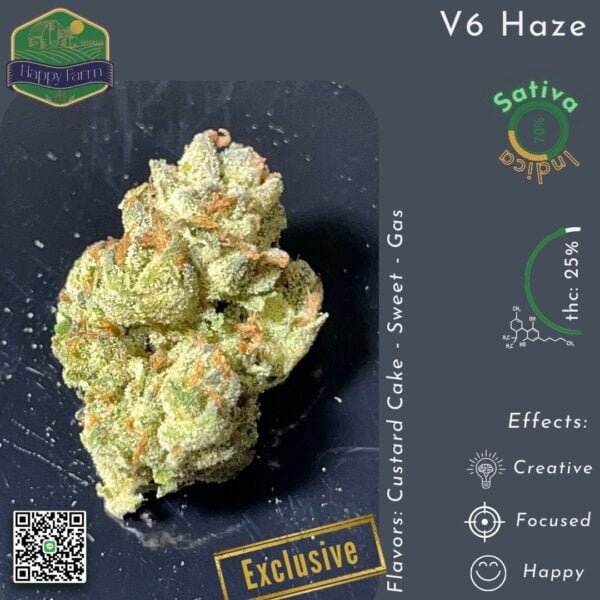 V6 Haze