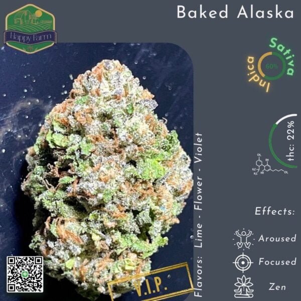 Baked Alaska