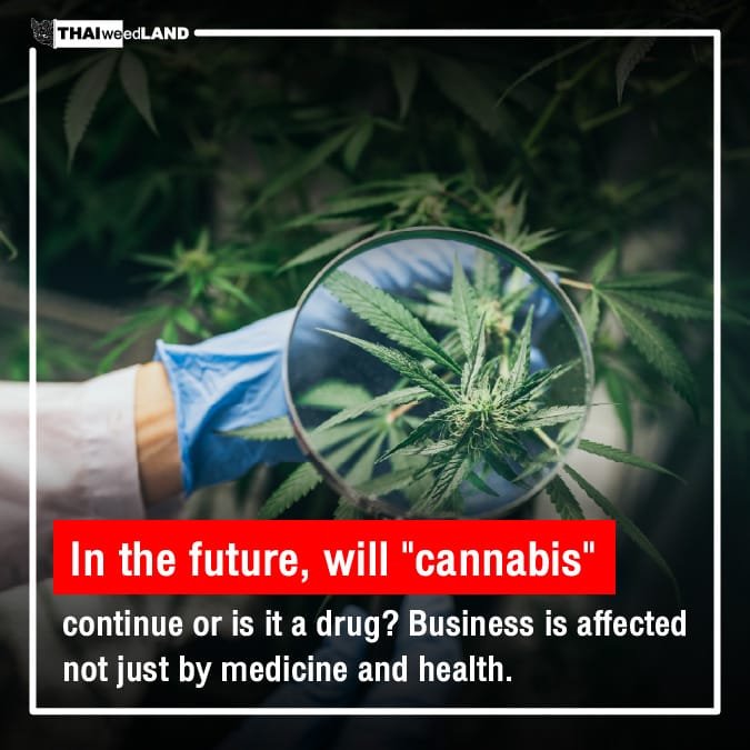 In the future, will “cannabis” continue or is it a drug? Business is affected not just by medicine and health.