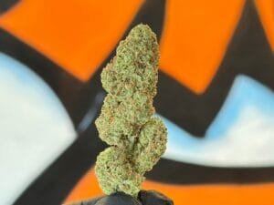 Jack Herer