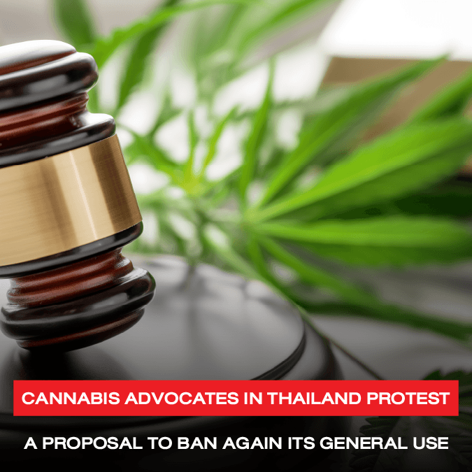 Cannabis advocates in Thailand protest a proposal to ban again its general use
