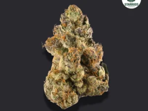 Gelato