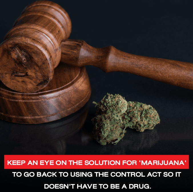 Keep an eye on the solution for ‘cannabis’ to go back to using the Control Act so it doesn’t have to be a drug.