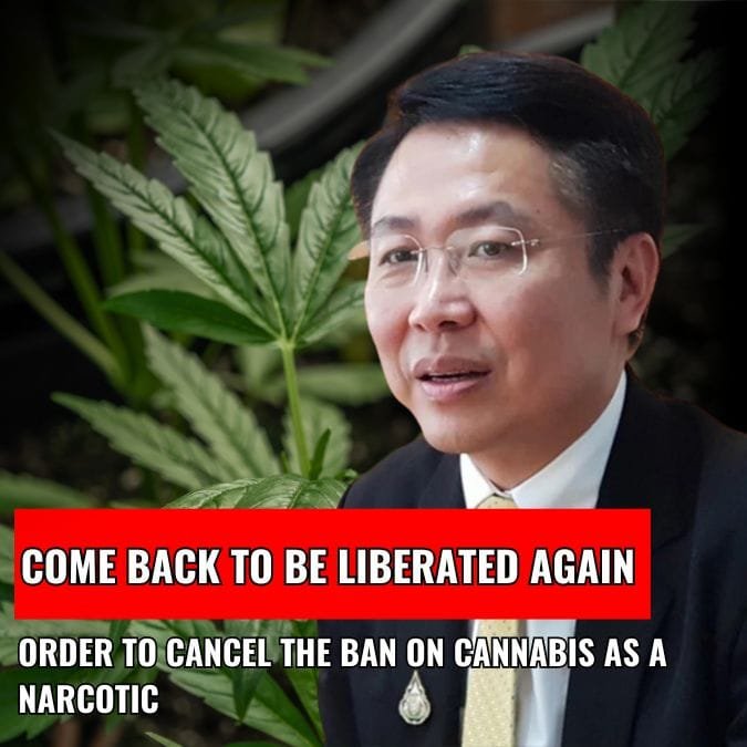 Order to cancel the ban on cannabis as a narcotic, Come back to be liberated again