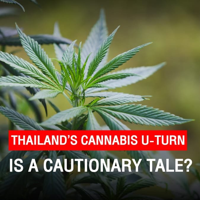 Thailand’s cannabis U-turn is a cautionary tale