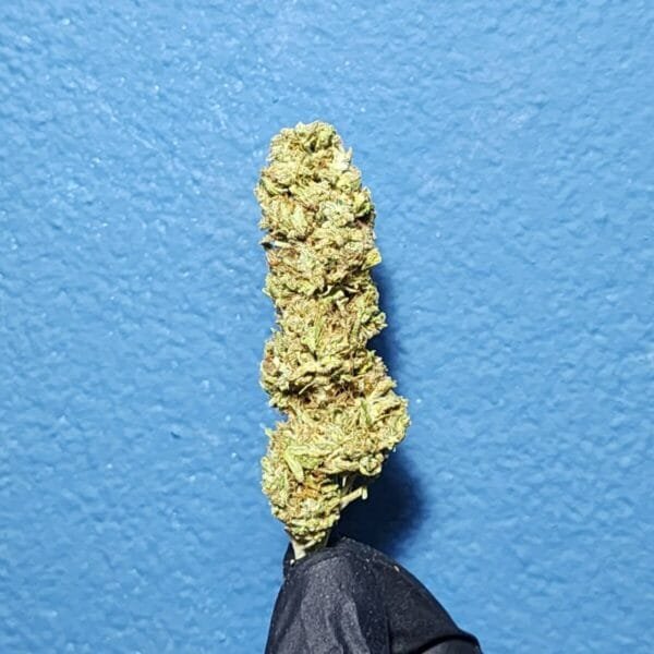 OG Kush